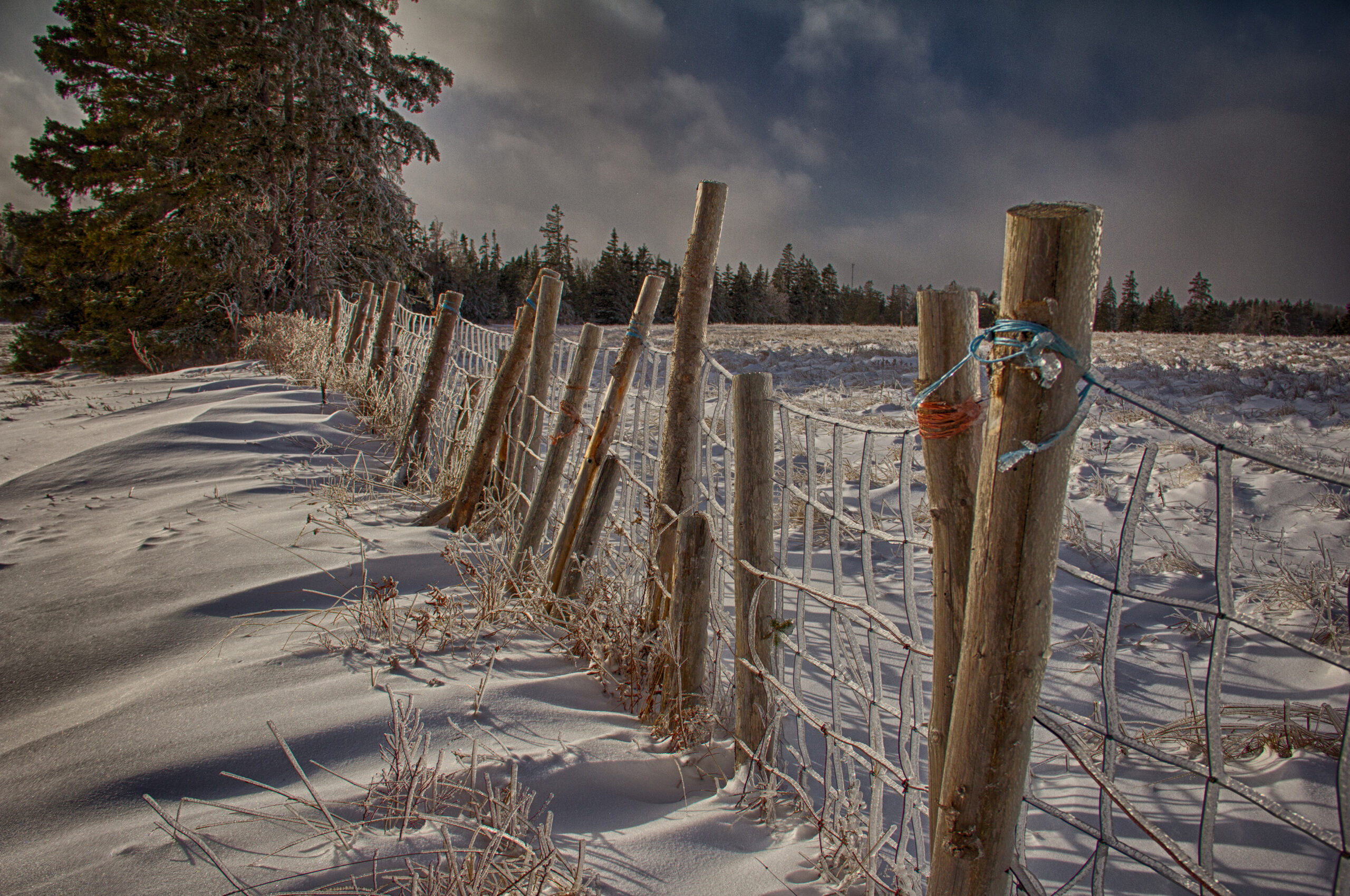 1159 - February 2026